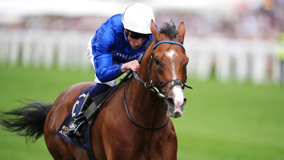Wolverhampton : Ombudsman's half-sister fait ses débuts